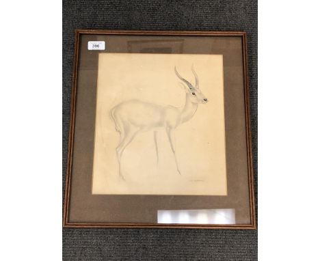 John R. Skeaping : Study of an antelope, pencil study, signed, 32 x 29 cm, framed.  