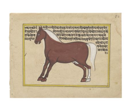 Twenty illustrated leaves from a manuscript on horses Rajasthan, late 19th Centurynagari manuscript on paper, 20 leaves (6 wi