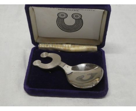 A 1973 EEC silver commemorative caddy spoon, cased with certificate