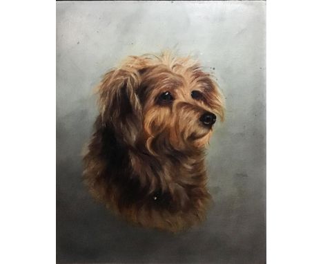 19th century school, Portrait of a Terrier, oil on card, H.32cm W.26cm 
