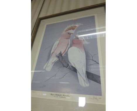 Framed and Glazed Signed Limited Edition Eric Peake Print 'Major Mitchell's Cockatoos'