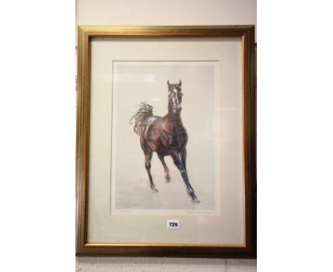 Framed and Glazed Signed Limited Edition Print of a Horse, no 158/500
