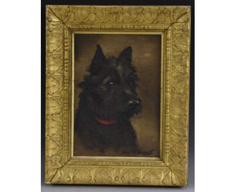 Chris McGregor (Scottish School, early 20th century)Dog Study, Portrait of a Scottish Terrier signed, oil on canvas, 34.5cm x