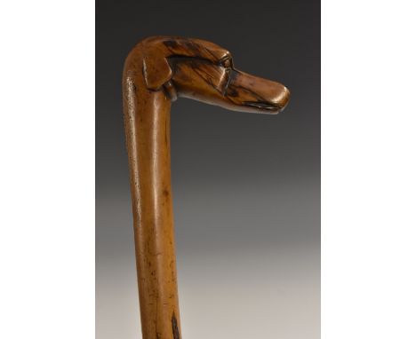 A 19th century novelty walking stick, the handle carved as the head of a dog, 86cm long