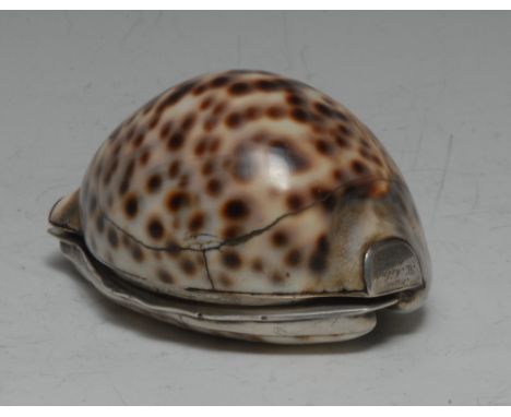 A George IV silver mounted cowrie shell snuff box, possibly Scottish, hinged cover, 8cm wide, the apex and posterior with car