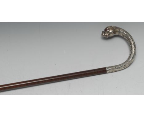 An Edwardian silver mounted novelty walking stick, the curved handle as the head of a bulldog, snakewood shaft, 92cm long, Bi