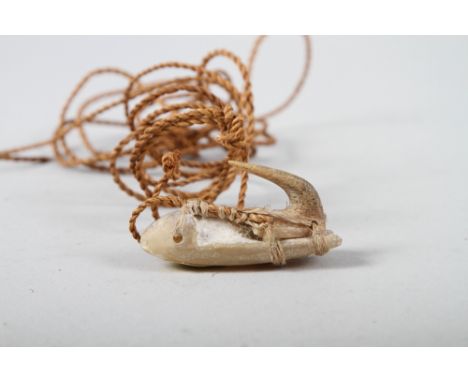 A Maori fish hook, collected circa 1880-90, formed from carved mother-of-pearl with whalebone hook bound with flax, on a leng