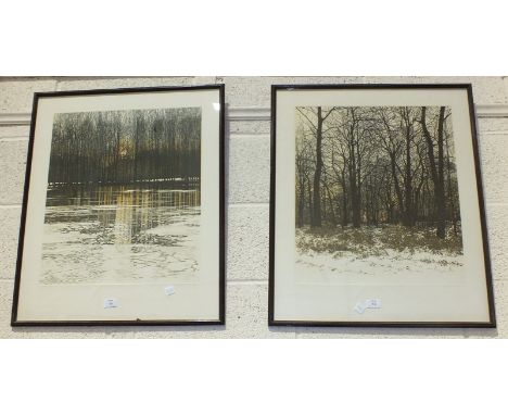 After P Greenwood, 'Forest Light', a framed etching, 69 x 58cm overall, signed in pencil, 59/300 and another, 'Water Lights',