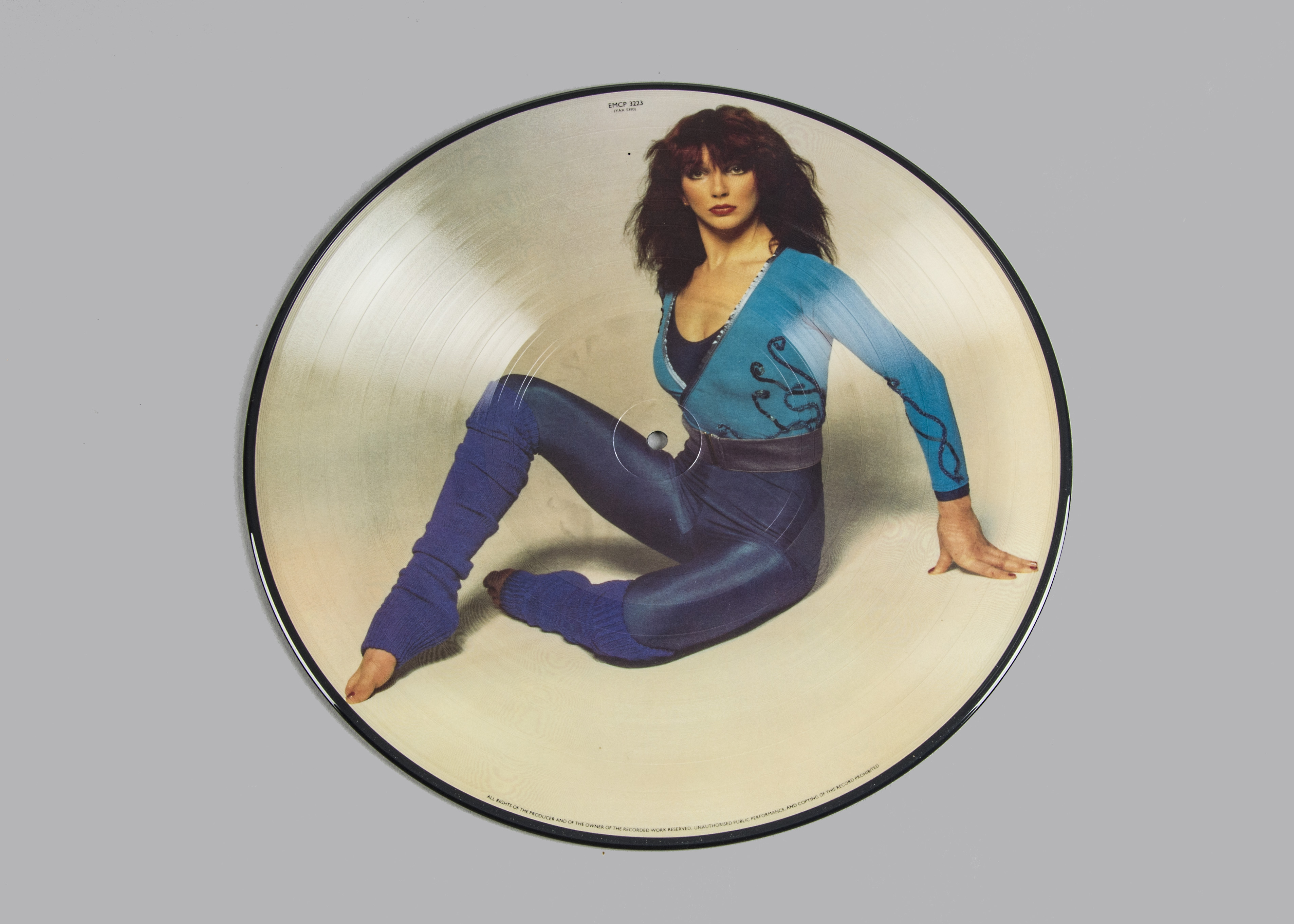 Kate Bush Picture Disc The Kick Inside Picture Disc Lp Original Uk