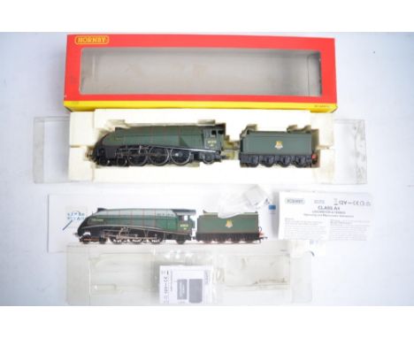 Hornby OO gauge Super Detail DCC Ready R2615 Class A4 60021 Wild Swan electric train model in near mint condition with instru