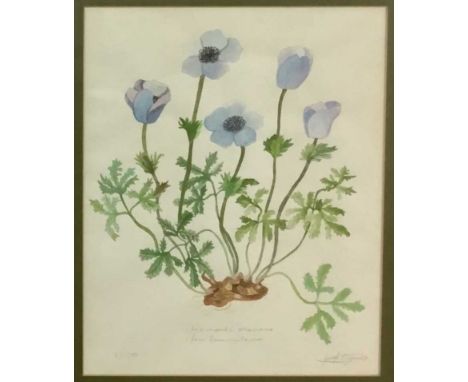 JOSEPH BIANCO, ANEMONE CARONARIA mixed media on paper, signed, titled and dated '85mounted, framed and under glassoverall siz