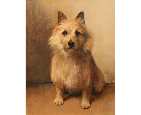 Sam Fulton (Scottish 1855-1943) Framed oil on board, signed, label verso 'Portrait of a Terrier' 41cm x 35cmCONDITION REPORT: