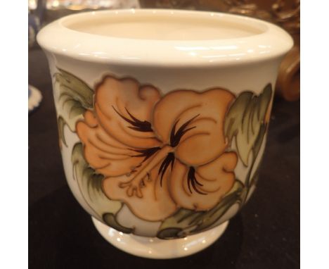 Moorcroft Cream Hibiscus jardiniere H: 12 cm