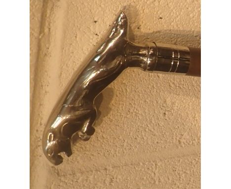 Jaguar handled walking stick