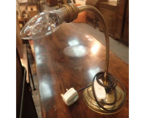 Brass adjustable lamp