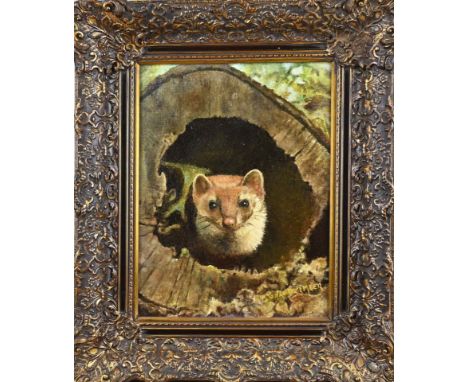 C. vd Meer. Dutch School. Matter in hollow tree trunk. Oil on canvas. Dimensions: H 40 x W 30 cm. In good condition.