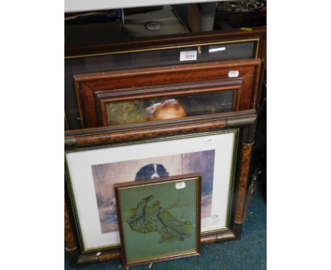 After Trickett. Spaniel, print and various others. (a quantity)