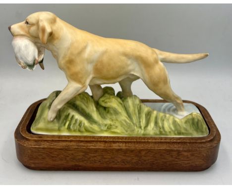 A Royal Worcester figure, ‘Yellow Labrador’ one of a series of sporting dogs by Doris Lindner on wooden base 8cm x 19cm. 