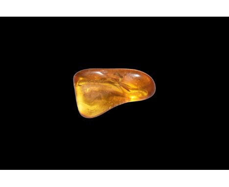 Oligocene Period, 45 million years BP. A piece of sun-orange coloured Baltic Amber containing flies together with other inclu