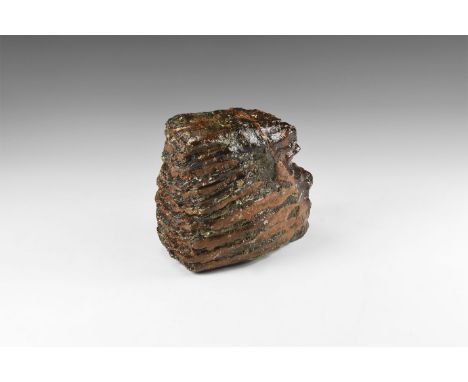 Pleistocene Period, 2.6 million years-11,700 years BP. A woolly mammoth Mammuthus primigenius fossil tooth; from Brown Bank, 