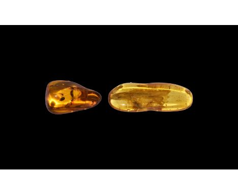 Oligocene Period, 45 million years BP. A group of two pieces of Baltic Amber containing flies together with other inclusions.