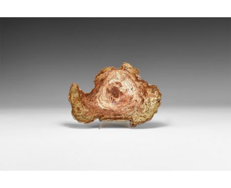 Triassic Period, 250-200 million years BP. A polished slice of fossilised wood from the Triassic period of Madagascar.  415 g