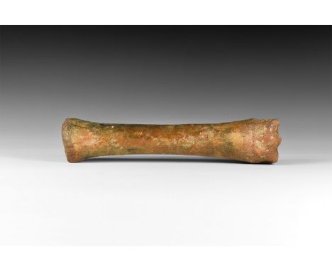 45,000- 7,000 years BP. A leg bone from a horse with one articulating end, recovered from the North Sea.  307 grams, 23cm (9"