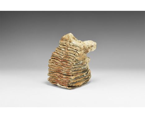 Pleistocene Period, 2.6 million years-11,700 years BP. A woolly mammoth Mammuthus primigenius tooth from Brown Bank, Lowestof