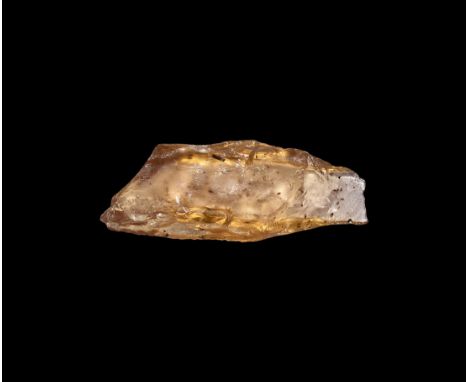 1 million years BP. A large piece of polished copal containing surplus of thirty small insects and other inclusions, from Mad