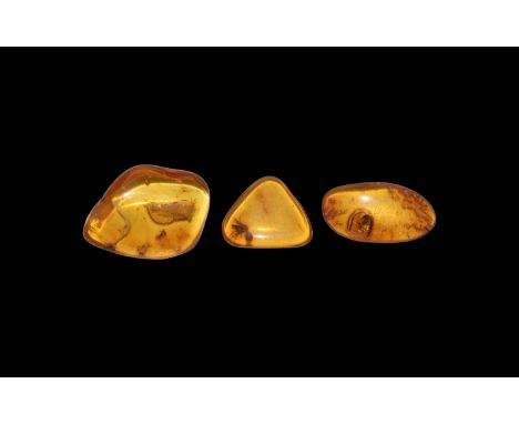 Oligocene Age, 45 million years BP. A group of three pieces of Baltic amber all containing flies or other insects, together w