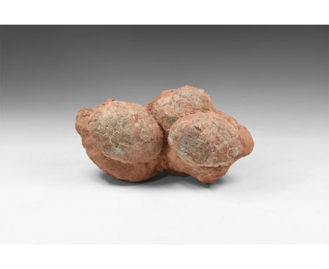 Cretaceous Period, 145-65 million years BP. A group of three dinosaur eggs in matrix retaining evidence of the original leath