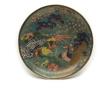 A large cloisonne enamel charger,late 19th/ early 20th century, Chinese, decorated with peacocks among chrysanthemums and blo