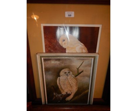 An oil painting of an owl, and a coloured print of an owl after David Cook, (2).