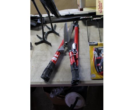 A lopper; shears and secateurs set