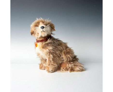 An adorable brown and white Skye Terrier, sitting charmingly on its backside, captivating onlookers with its endearing gaze. 