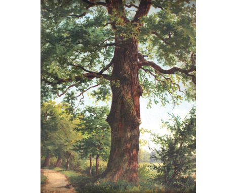 Lugo, Emil: (1840 Stockach - München 1902). Aufragender Baum an lichtem Waldweg. Öl auf Leinwand. 41 x 33 cm. Unten li. sign.