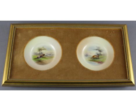 A pair of framed Royal Worcester porcelain saucers, painted with cattle, date code 1906,  frame 36.5cm wide x 20.5cm high. Sm