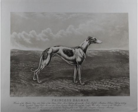 After Edwin Henry Hunt, a group of four Greyhound engravings, a Briton Riviere print and a photograph of greyhounds. Some det