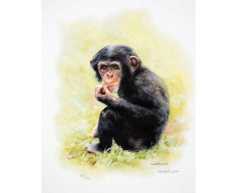 MANDY SHEPHERD, 'CHIMPANZEE', a limited edition print 357/600, signed and numbered in pencil, with certificate, slight damage