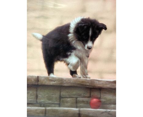 JOHN SILVER, 'FOLLOW THE BOUNCING BALL', a limited edition print 29/295, signed and numbered, with certificate, 45cm x 35cm