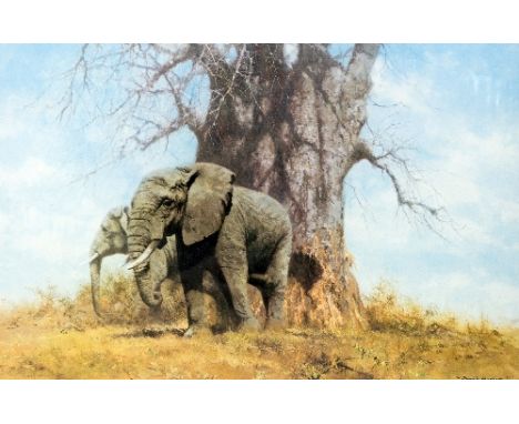 DAVID SHEPHERD, OBE FRSA, 'BAOBAB AND FRIENDS', a limited edition print 824/950, signed and numbered in pencil, mounted, unfr