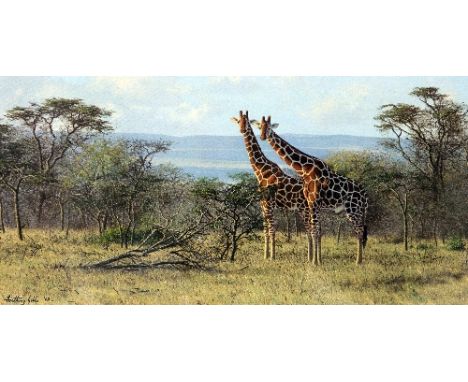 ANTHONY GILLS, 'TWOS COMPANY', a limited edition print 98/295, signed and numbered in pencil, with certificate, mounted but n