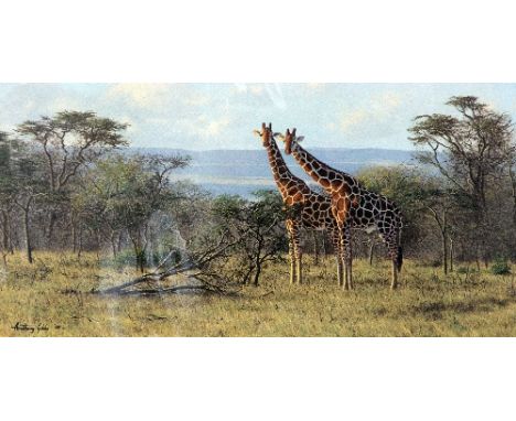 ANTHONY GIBBS, 'TWOS COMPANY', a limited edition print 84/295, signed and numbered in pencil, with certificate, mounted but u