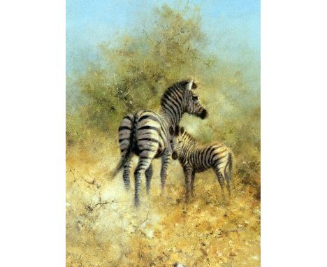 DAVID SHEPHERED OBE FRSA, 'ZEBRA MOTHER AND FOAL, ETOSHA', signed and numbered in pencil, with certificate, 40cm x 28cm