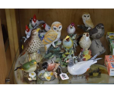 TWELVE VARIOUS BIRD ORNAMENTS, to include Beswick Bullfinch No 1042B, Greenfinch No.2105B and Songthrush No.2308, a Royal Cop