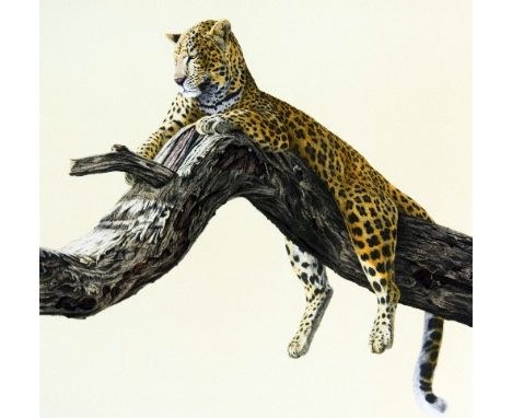 SIMON COMBES, 'CHUI', a limited edition print 261/275, signed, titled and numbered, with certificate, unmounted, unframed, 50