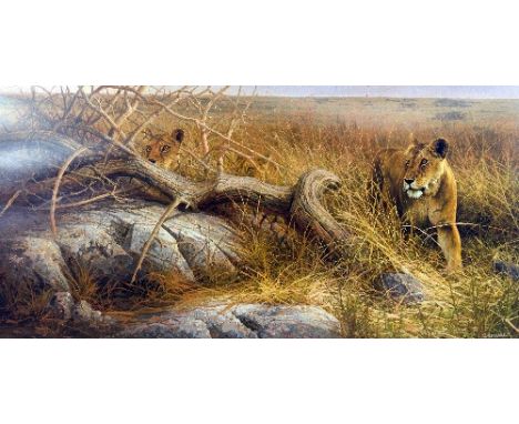 DICK VAN HEERDE, 'SERENGETI LIONESSES', a limited edition print 381/395, signed and numbered in pencil, mounted but unframed,