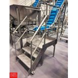 30" x 30" S/S Framed Platform with Stairs and Handrail (Subject to Bulk Bidding)
