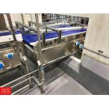 5' x 3' S/S Framed, 2-Lane Conveyor with S/S-Clad Drive (Subject to Bulk Bidding)