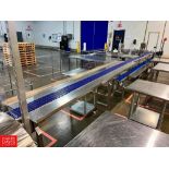 Nercon 2-Tiered (26' x 6" with 90° Turn and 14' x 6") S/S Framed Conveyor with (2) S/S-Clad Drives
